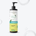 Antologia Anti Dandruff Shampoo, For Itchy Flaky & Stubborn Scalp, All Hair Types, 200 ml