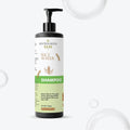 Antologia Rice Water Shampoo for All Hair Types, Repair Bond Strength, Anti-Frizz, Prevents Hair Fall, Deep Nourishment, 200ml