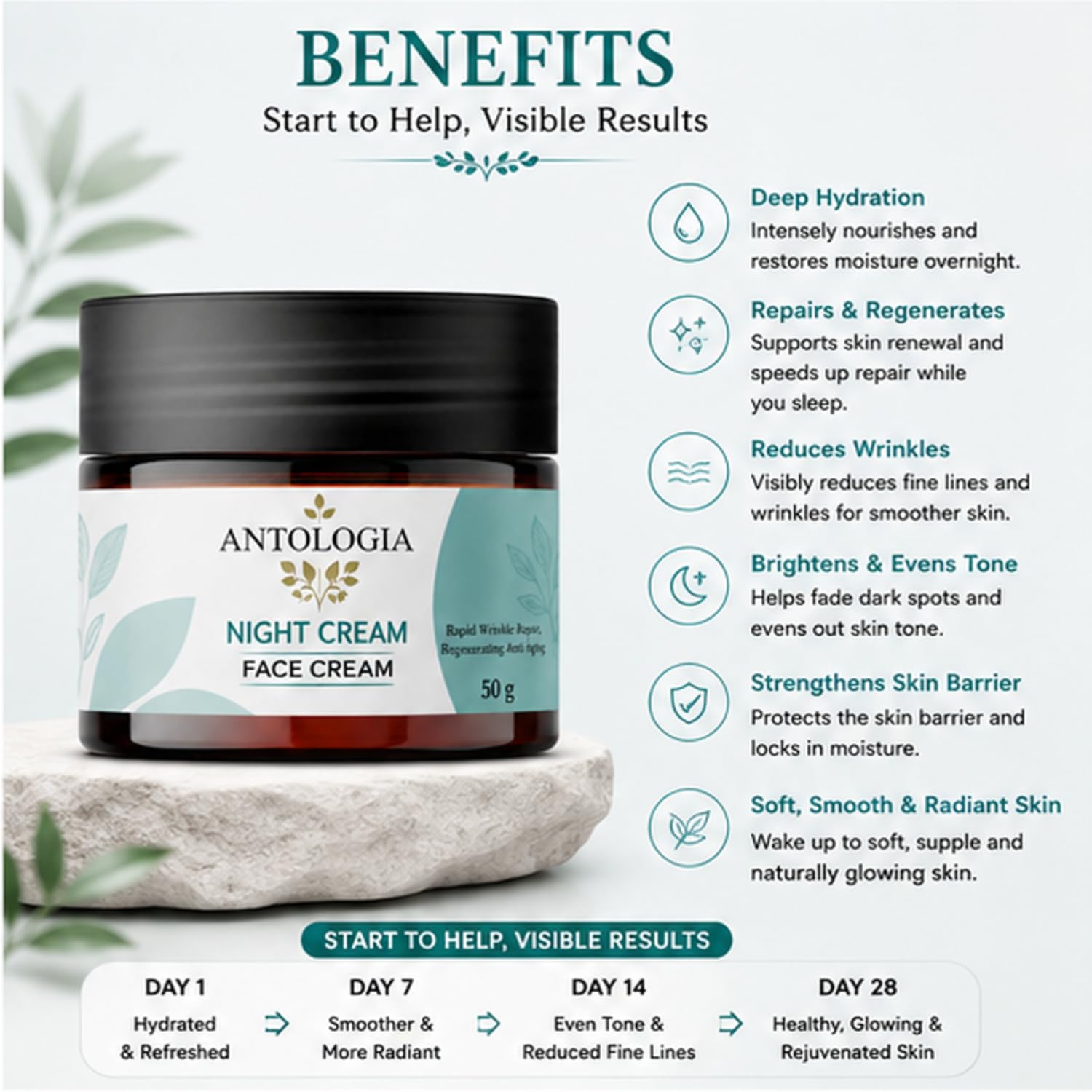 Antologia Night Face Cream for Hydration & Anti Ageing Care, Overnight Moisturising Cream for Smooth and Refreshed Looking Skin, Lightweight Night Cream, 50g